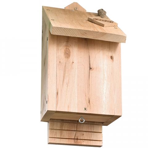 bat box