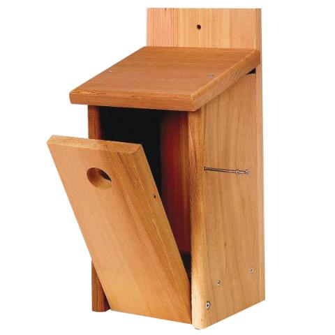 bird box